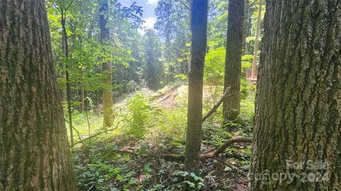 0000 Drifter Ln, Sylva, NC 28779 photo 7