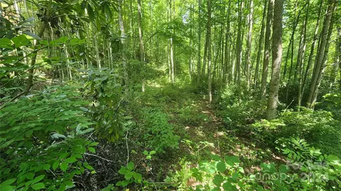 0000 Drifter Ln, Sylva, NC 28779 photo 6