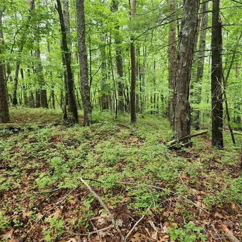 0 Buttonwood 21 Rd #21, Connelly Springs, NC 28612