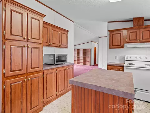 116 Trae Ct, Troutman, NC 28166 photo 11