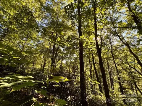 735 Whisper Mountain 44 Dr #44, Leicester, NC 28748