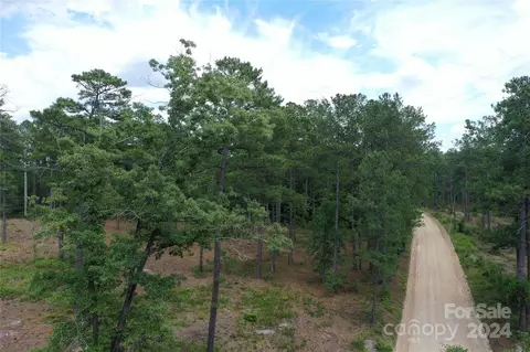 00 Jordan Farm Rd, Patrick, SC 29584 photo 3
