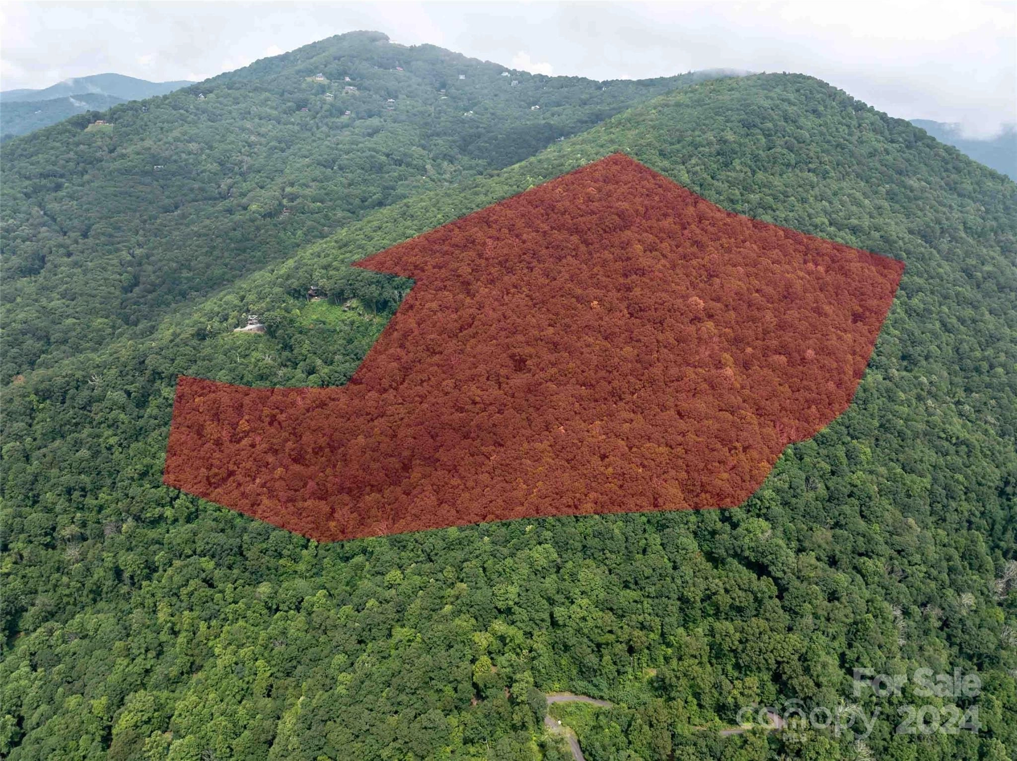 00 Tbd Laurel Rdg Rd  