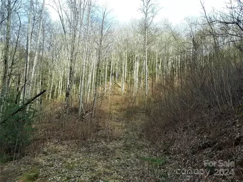0 Flagstaff Dr, Sylva, NC 28779 photo 9