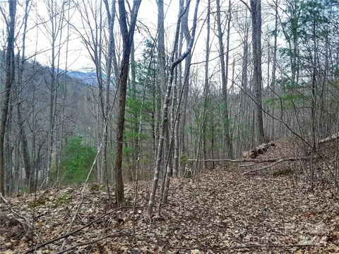 0 Flagstaff Dr, Sylva, NC 28779 photo 4