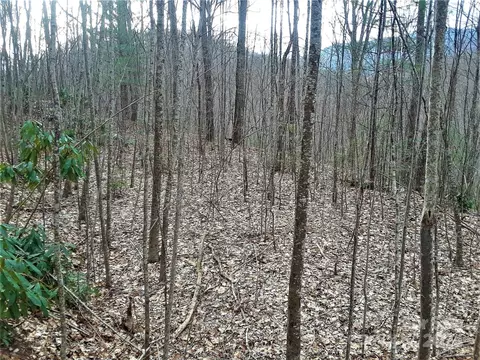 0 Flagstaff Dr, Sylva, NC 28779 photo 6