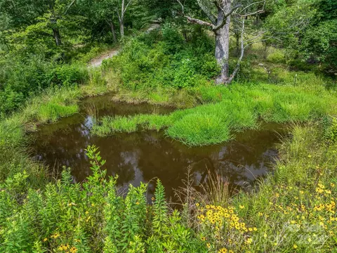 Newfound Road, Leicester, NC 28748 photo 41