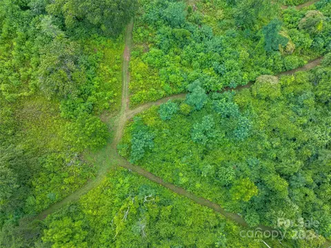 Newfound Road, Leicester, NC 28748 photo 35