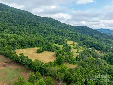Newfound Road, Leicester, NC 28748 photo 28