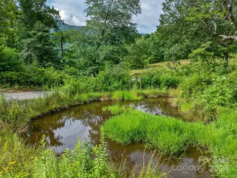 Newfound Road, Leicester, NC 28748 photo 42