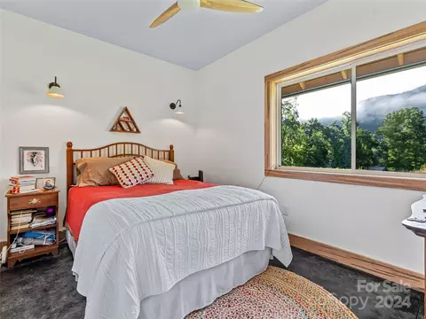 Newfound Road, Leicester, NC 28748 photo 13