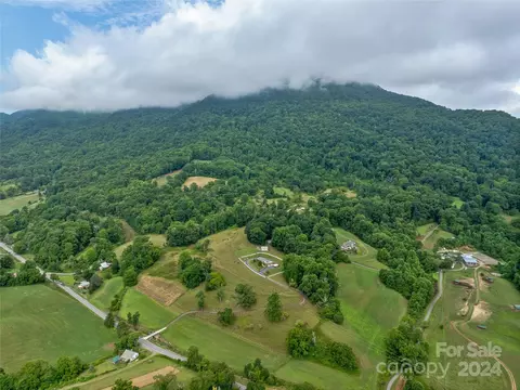 Newfound Road, Leicester, NC 28748 photo 30