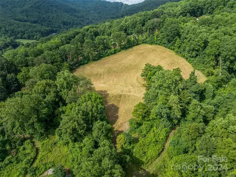 Newfound Road, Leicester, NC 28748 photo 43