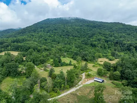 Newfound Road, Leicester, NC 28748 photo 47