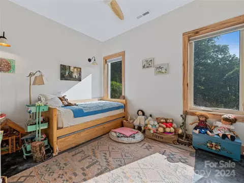 Newfound Road, Leicester, NC 28748 photo 14