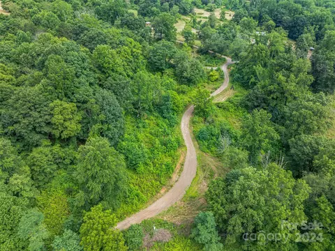 Newfound Road, Leicester, NC 28748 photo 48