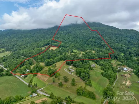 Newfound Road, Leicester, NC 28748 photo 21