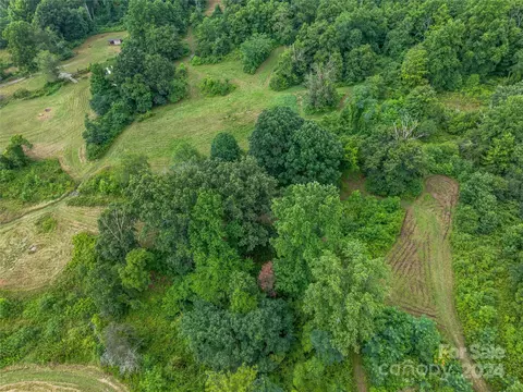 Newfound Road, Leicester, NC 28748 photo 36