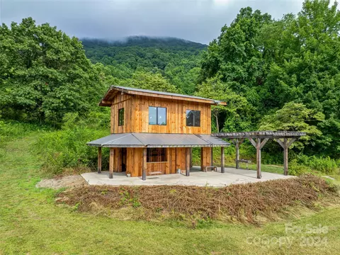 Newfound Road, Leicester, NC 28748 photo 24