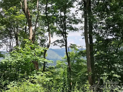 00 Hurricane Ridge 53 Trce #53, Clyde, NC 28721