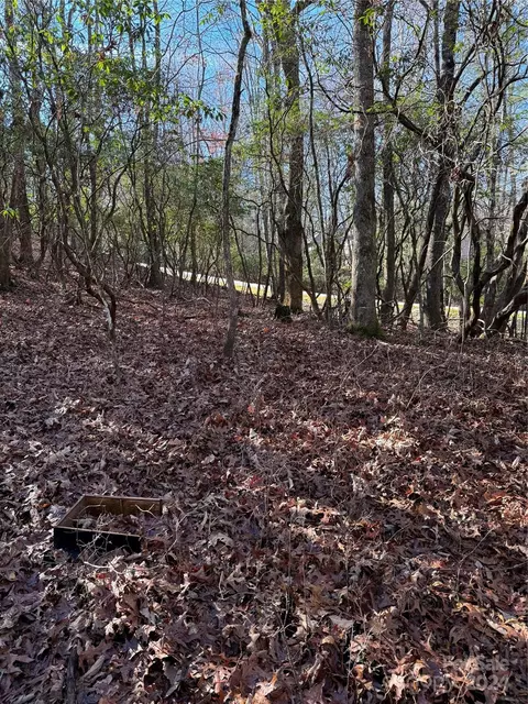 Tlvdatsi Drive, Brevard, NC 28712