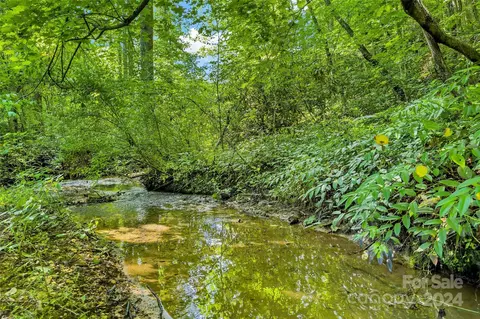 203 Moffitt Branch Na Rd #NA, Old Fort, NC 28762