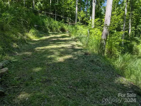 91 Robert Wilson Dr, Marshall, NC 28753 photo 15