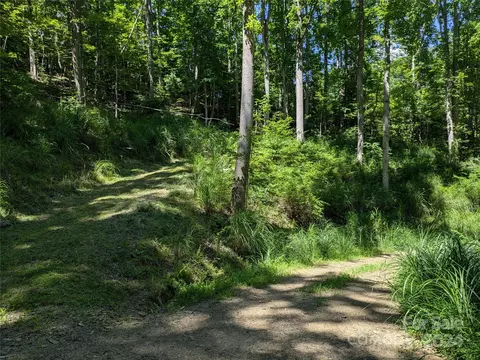 91 Robert Wilson Dr, Marshall, NC 28753 photo 16