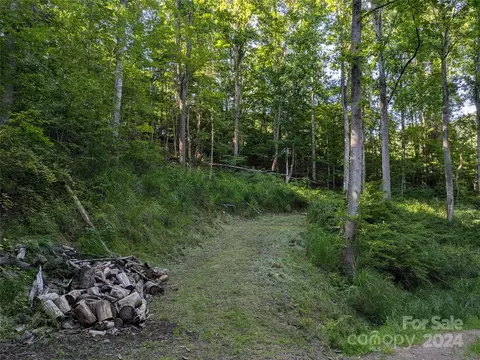 91 Robert Wilson Dr, Marshall, NC 28753 photo 19