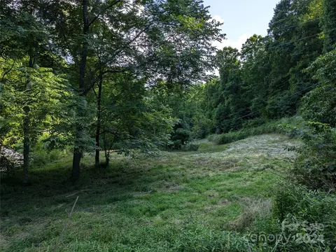 91 Robert Wilson Dr, Marshall, NC 28753 photo 22