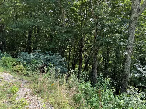364 Birch Springs Ln, Mars Hill, NC 28754