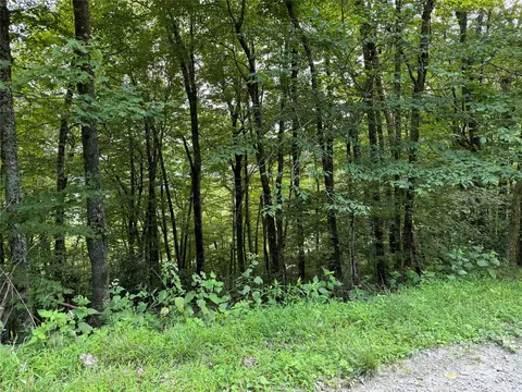 227 Birch Springs Ln, Mars Hill, NC 28754