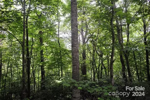 17 Wood Haven 111 Ln #111, Black Mountain, NC 28711