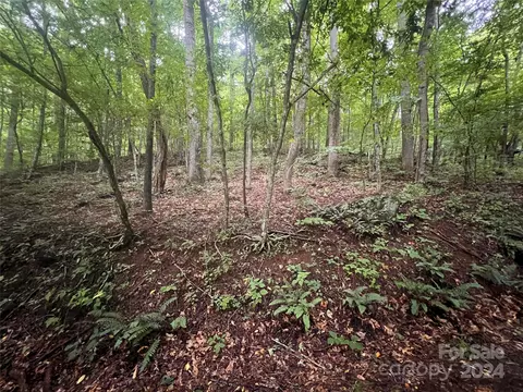 0 Country Club Dr, Canton, NC 28716
