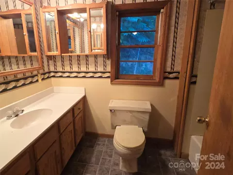 127 Lake Adger Rd, Mill Spring, NC 28756 photo 13
