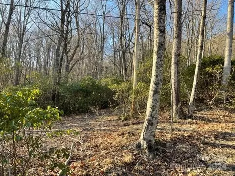 0 E Poplar 25 Ln #25, Hendersonville, NC 28792