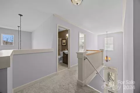 18419 Harborside Dr, Cornelius, NC 28031 photo 21