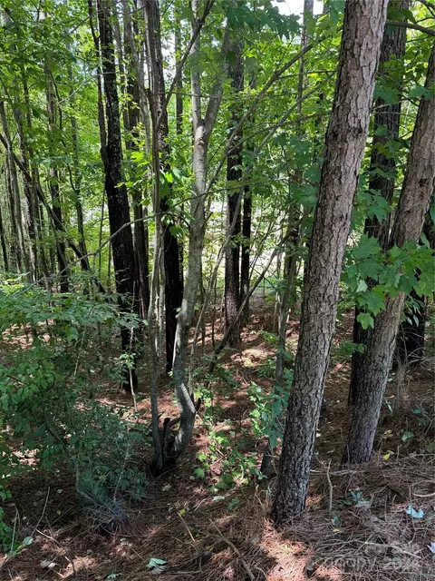 Maiden Salem Road, Maiden, NC 28650