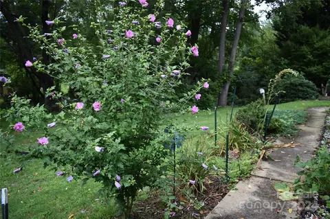 236 Silver Bluff Dr, Canton, NC 28716 photo 27