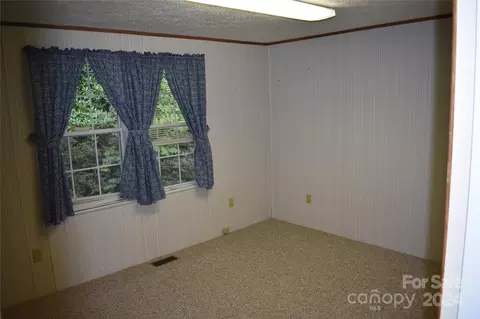 236 Silver Bluff Dr, Canton, NC 28716 photo 29