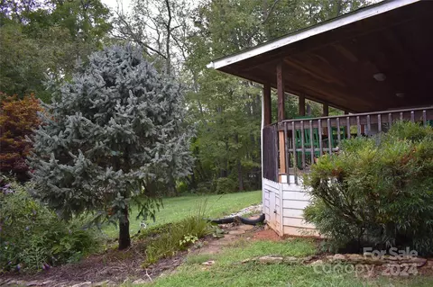 236 Silver Bluff Dr, Canton, NC 28716 photo 23