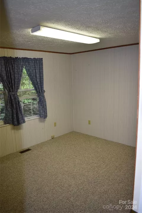 236 Silver Bluff Dr, Canton, NC 28716 photo 30