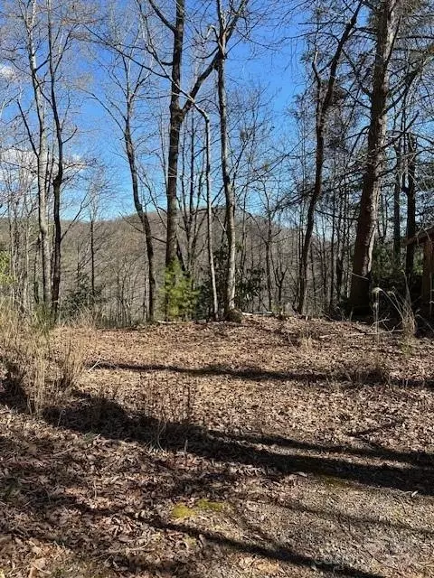 1154 State Rd, Flat Rock, NC 28731 photo 3