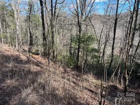 1154 State Rd, Flat Rock, NC 28731 photo 2