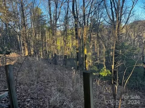 1154 State Rd, Flat Rock, NC 28731 photo 9