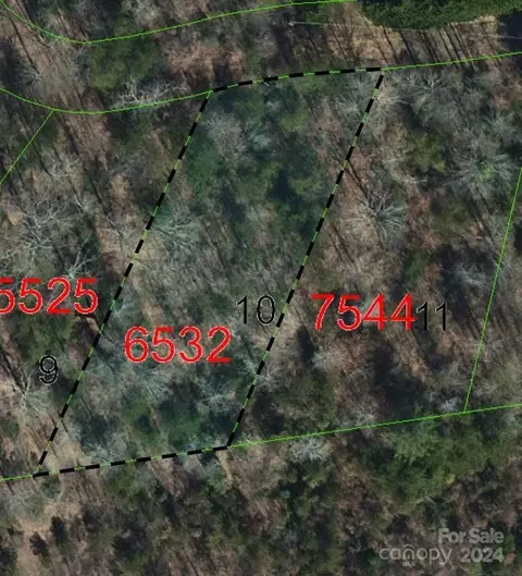 Biggerstaff Lot #10 Loop LOT 10, Nebo, NC 28761