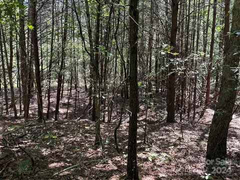4560 Gilbert Rd, Vale, NC 28168 photo 17