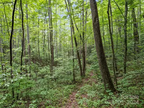 00 E Fork Rd, Sylva, NC 28779 photo 10
