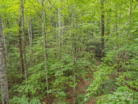 00 E Fork Rd, Sylva, NC 28779 photo 7