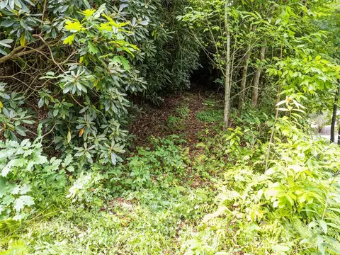 00 E Fork Rd, Sylva, NC 28779 photo 5